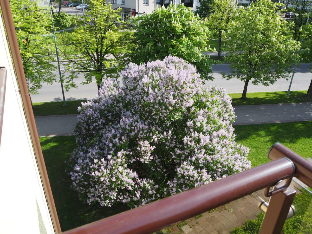 Roman Druskininkai Buitenkant foto