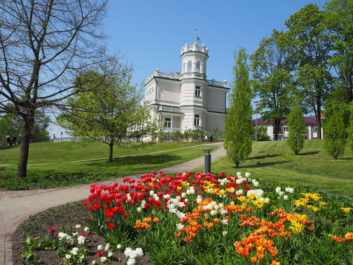 Roman Druskininkai Buitenkant foto